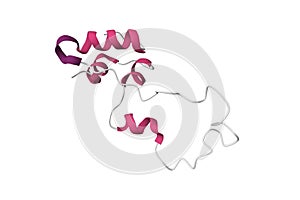 NMR structure of proinsulin