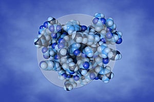 NMR Structure of single-chain insulin on blue background. Space-filling molecular model. 3d illustration