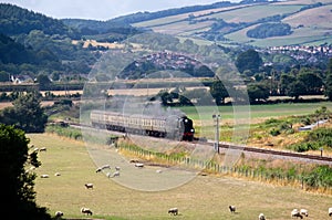No.34052 Lord Dowding Steam Train.