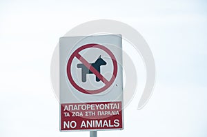 No animals