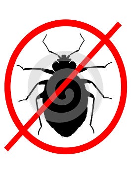 No Bed Bugs