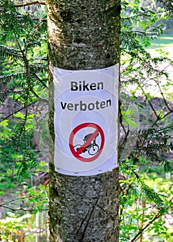 No bicycles, biking forbidden sign on a tree