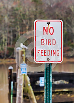 No Bird Feeding sign