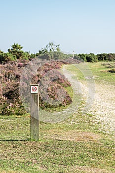 No cycling fingerpost in front of heather shrubs next to a gravel track in the New Forest, UK photo