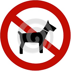 No dogs allowed