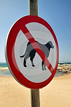 No dogs allowed on beach sign with blurred beach background
