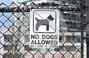 No dogs allowed sign