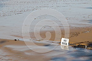 NO DOGS sign on the Torquay surf beach in Victoria, Australia.