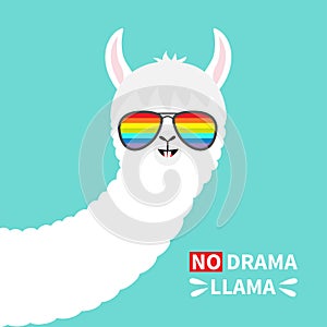 No drama llama face in rainbow glassess. Alpaca animal. Cute cartoon funny kawaii character. T-shirt, greeting card, poster print