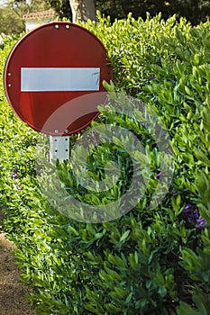 No entry or Do not enter traffic sign overgrown in green flowering hedge