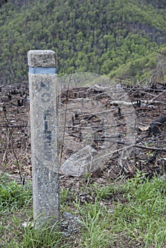 No fires sign at edge of a fire damaged forest