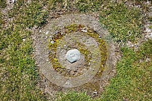 No fires written on a rock at a campsite in Fjordland National Park New Zealand