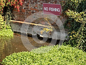 No Fishing Sign in the mill pond