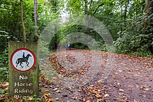 No Horse Riding sign in english forest park