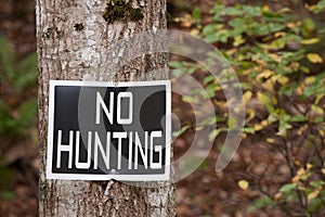 No Hunting