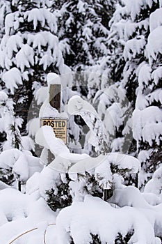 No hunting, no trespassing sign on a snowy tree in Wisconsin