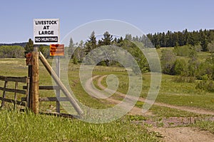 No hunting and no trespassing signs