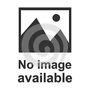 No image available icon. Flat, vector illustration