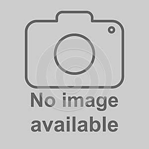 No image available icon. Photo camera icon. Flat, vector illustration