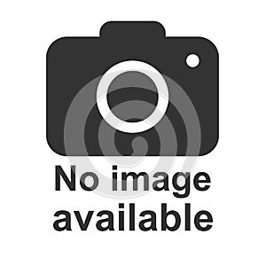 No image available icon. Photo camera icon. Flat, vector illustration