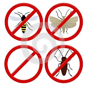 No insects cockroach, moth and wasp