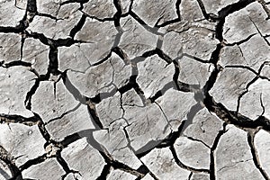 No life in arid soil.