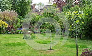 No Mow May: circles of grass are left uncut in a suburban garden in London UK. The long grass attracts wildlife.