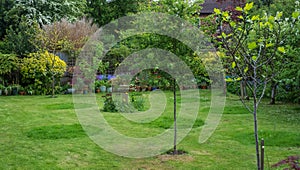 No Mow May: circles of grass are left uncut in a suburban garden in London UK. The long grass attracts wildlife.