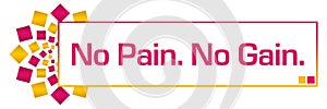 No Pain No Gain Pink Orange Circular Bar