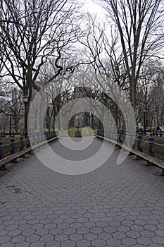 No People on The Mall in Central Park New York City in Winter