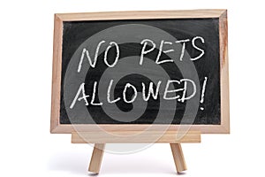 No pets allowed