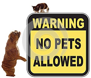 No pets allowed