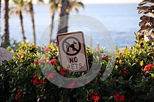 No Pets sign at beach resort