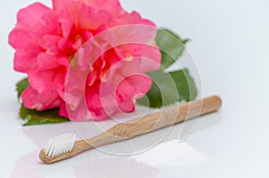 No plastic, wood toothbrush and xylitol, birch sugar, rose on white