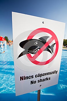 No sharks