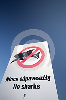No sharks
