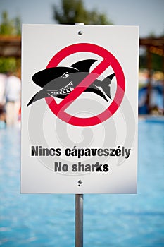 No sharks