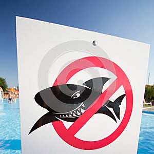 No sharks