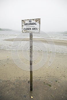 No Shellfishing sign on beach in Chatham, Massachusetts on Cape Cod.