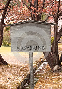 No smoking