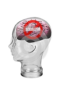 No Socialism Brain photo