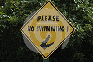 No Swimming - Dangerous Alligators