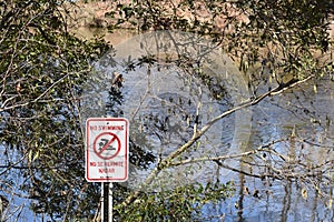 No Swimming  NO SE PERMITE NADAR Sign photo