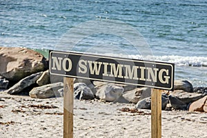 A `No Swimming` sign at a local beach