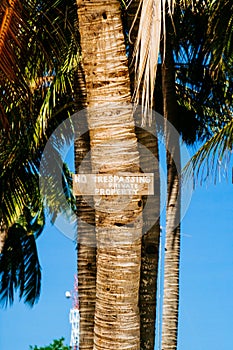 `NO TRESPASSING` sign on coconut palm tree in the island