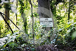 No trespassing sign in the woods