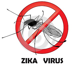 No zika mosquito gnat insect vector sign. Carry many disease such as dengue fever, zika virus, yellow fever, chikungunya disease photo