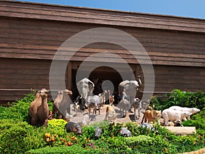 Noah's Ark