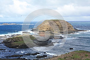 The Nobbies, Australia