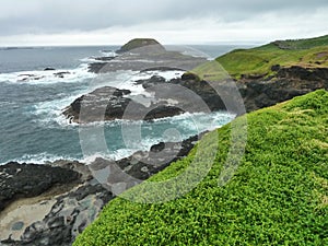 Nobbies, Phillip Island Nature Park